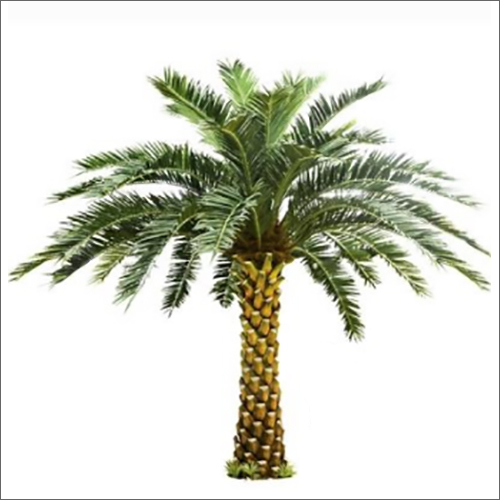 Artificial Date Palm Plant