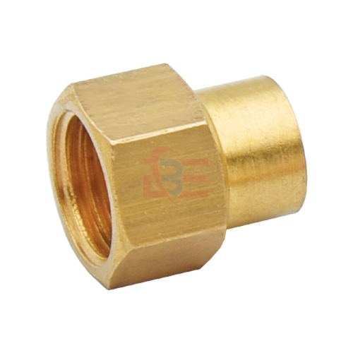 Golden 1/4 X 1/2 China Bush