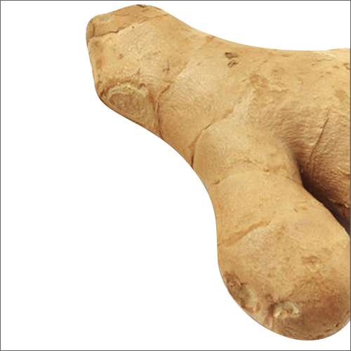 Dry Ginger