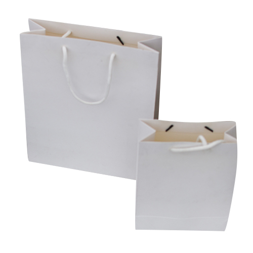 2 Rope Shopping Paper Bag - Coated Paper, Custom Sizes Available | Moisture Proof, Flexiloop Handles, High Load Bearing Capacity