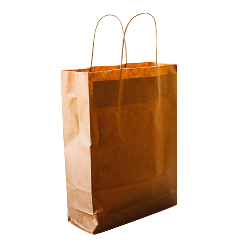 Large Shopping Paper Bag - Recycled Coated Paper Flexiloop Handles | Moisture Proof Custom Sizes & Colors for Versatile Shopping and Gifting