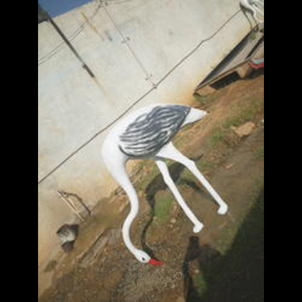 FRP Big Bird