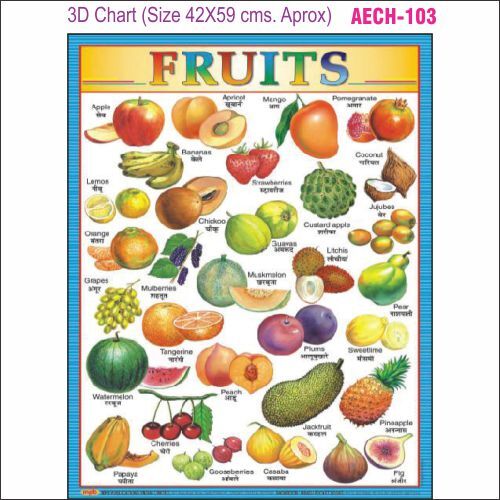 3D Educational chart AEC- 103