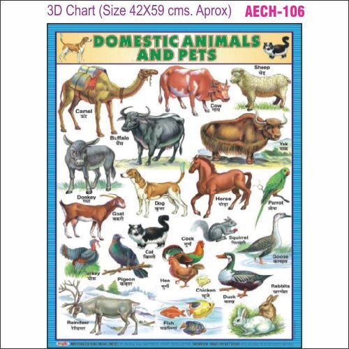 3D Educational Chart AEC- 106