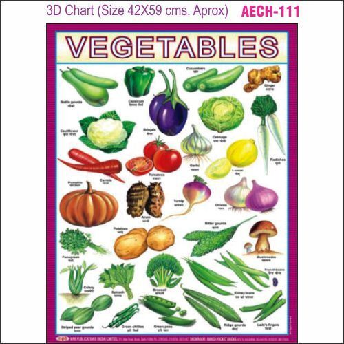 3D Educational Chart AEC- 111