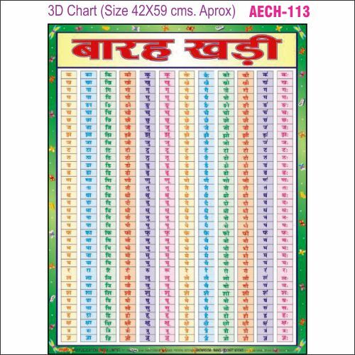 3D education Chart AEC- 113