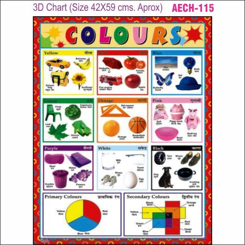 3D Education Chart AEC- 115