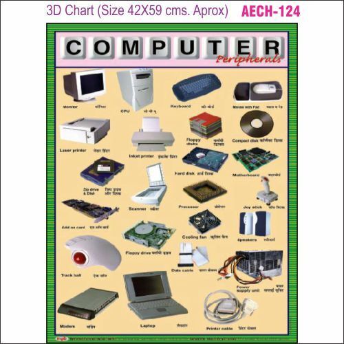 3D Education Chart AEC- 124