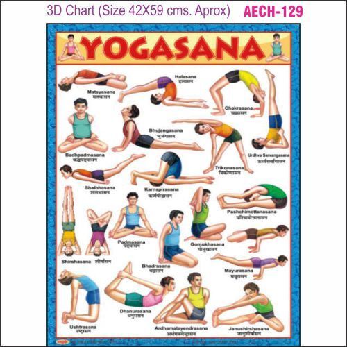 3D Education Chart  AEC- 129