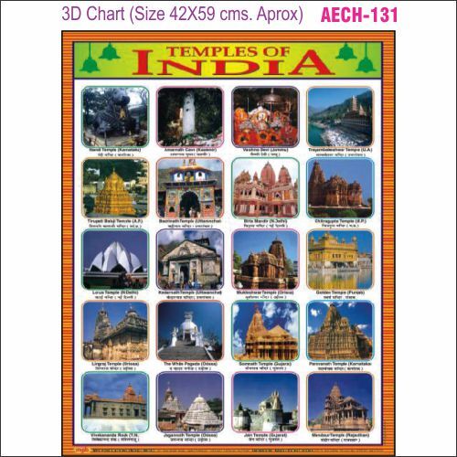 3D Education Chart AEC- 131