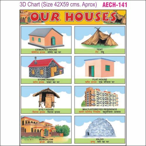 3D Education Chart AEC- 141