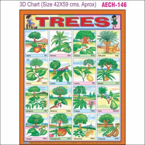 3D Education Chart AEC- 146