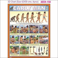 3d Education Chart Aec- 150