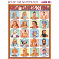 3d Education Chart Aec- 154