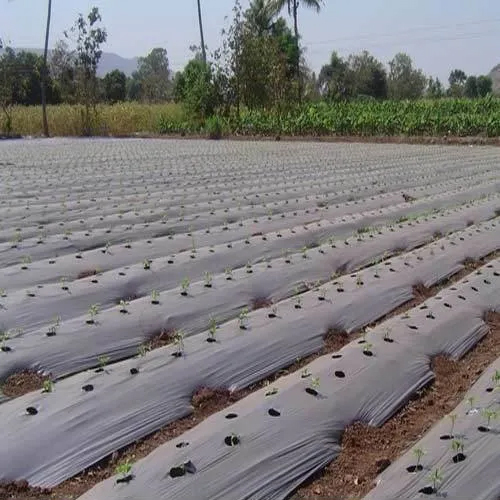 White 25 Micron Mulching Paper