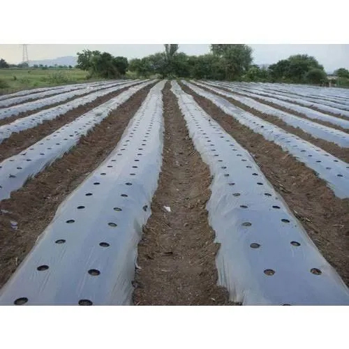 Industrial Mulching Paper