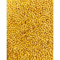 Yellow Lentils - Organic Whole, Round Yellow Pulse | 100% Purity, High Fiber, Nutrient-rich Source