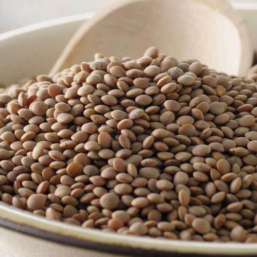 Organic Brown Lentils