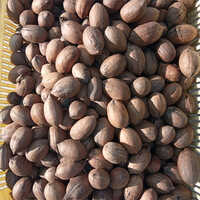 Pecan Nuts - Organic, Frozen, 100% Natural | Sweet Taste, Oval Shape, Rich In Antioxidants, Available In Various Sizes