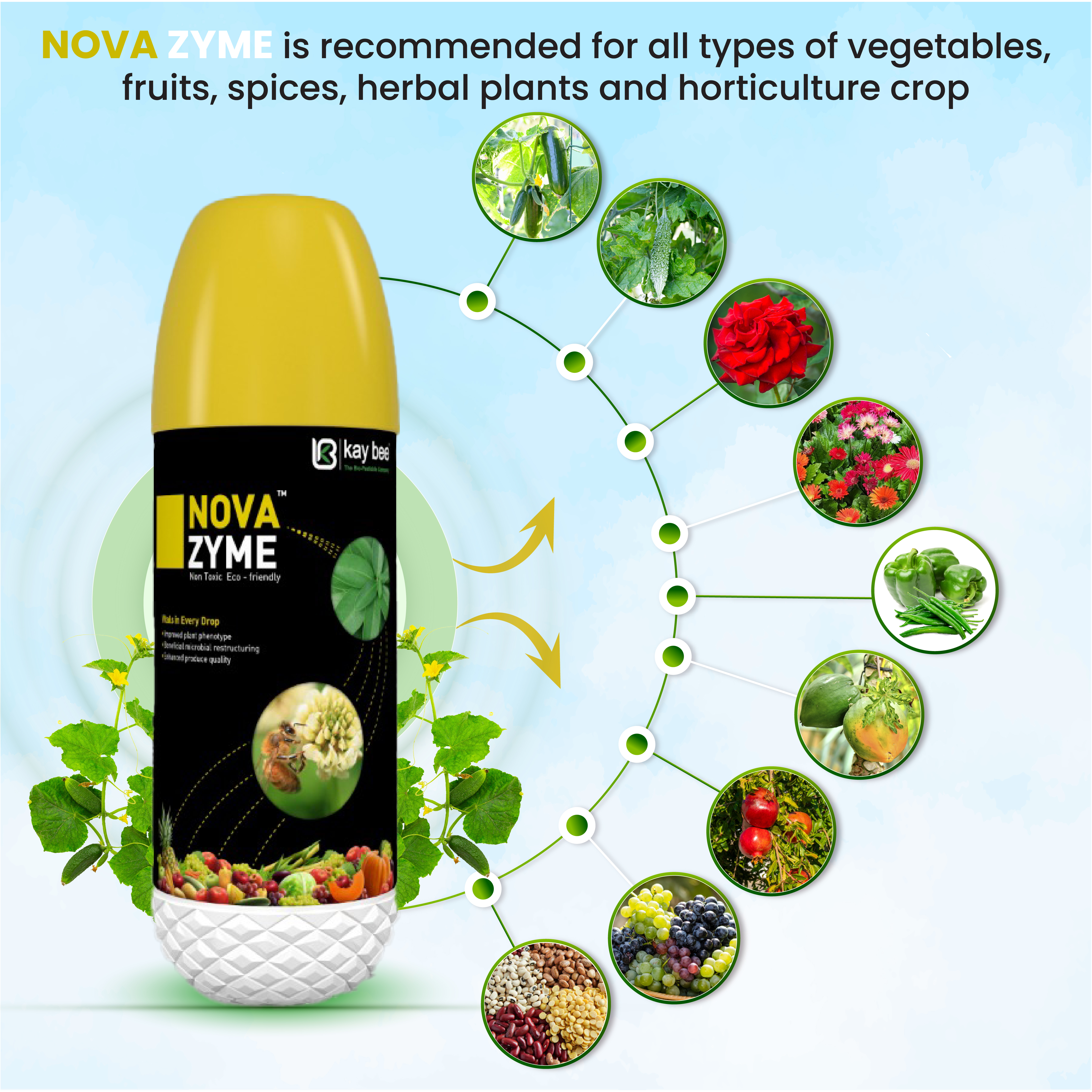 Nova Zyme Seaweed