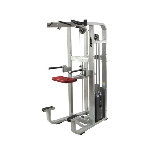 Commercial Assisted Dip Chin