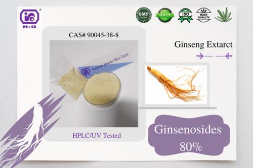 Ginseng Extract Ginsenosides 10%-80% CAS 90045-38-8 Herbal extract