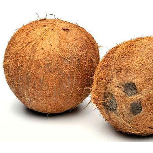 Brown Pollachi Fully Husked Coconut
