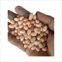 Ground nut