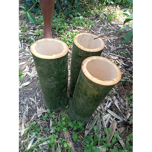 Green Bamboo Biryani Pipe