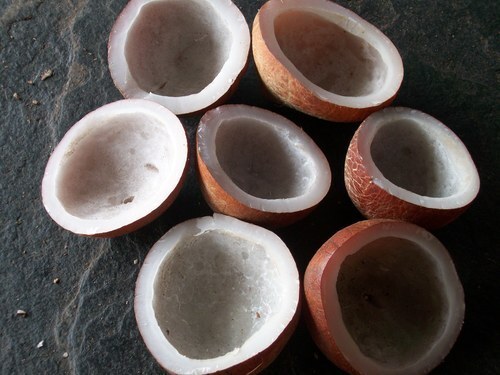 Split Dried Copra