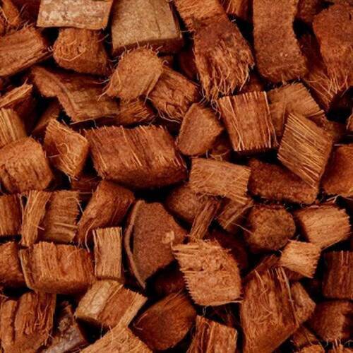 Coconut Husk