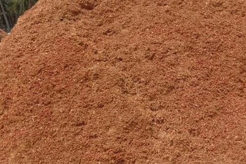 Coco Peat Powder