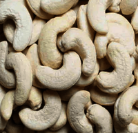 W240 Cashew Kernels