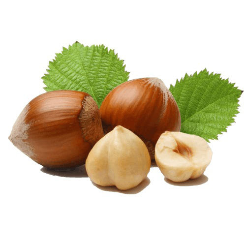 Common Natural Hazelnuts