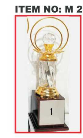 Fiber Trophy - Iron Material | 9 Inch Sport Trophy Award, Competitive Style for Exceptional Achievements
