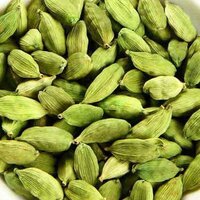 Green Cardamom 8mm Bold