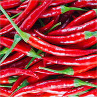Red Chilli - Physical Form: Piece