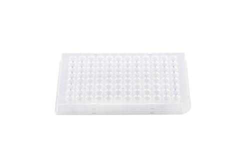 PCR 96 well plate full skirt hard shell white clear well 0.1ml