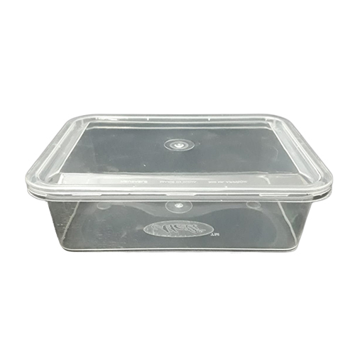 Disposable PP Container - 300 SQ Inches, Transparent Color, High-Quality Plastic Material for Food Industry