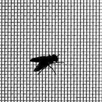 Mosquito Proof Screens - Stainless Steel, Steel Wire Mesh, Silver | Durable And Effective Insect Protection Solution