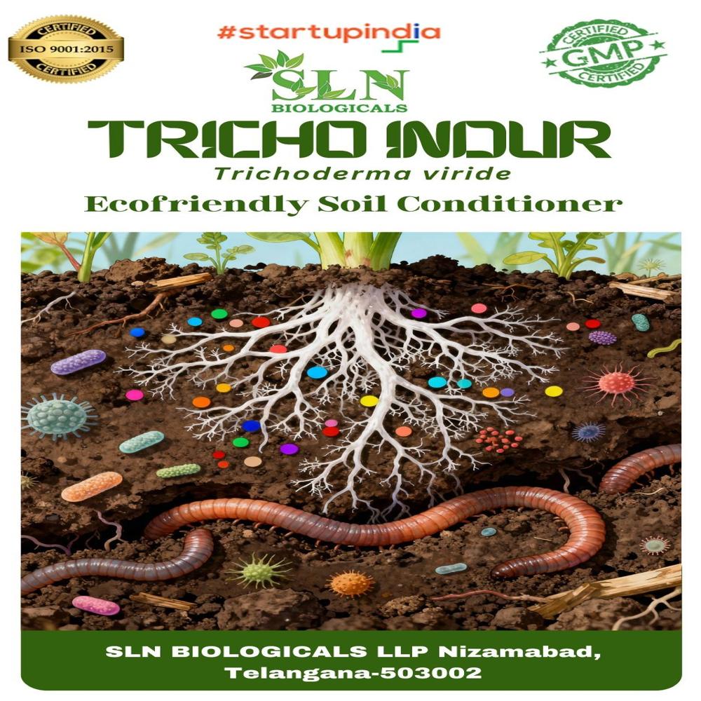 Trichoderma Viride - Application: Commercial