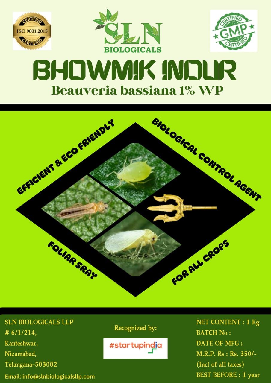 1Kg Beauvaria Bassiana Organo Based Eco Friendly Bio Pesticide - Application: Agriculture