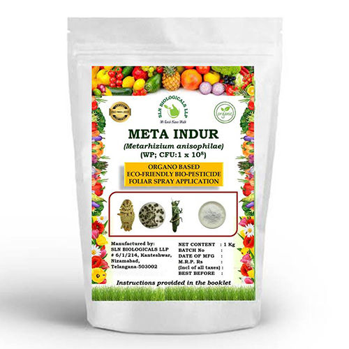 1Kg Metarhizium Anisophilae Organo Based Eco-Friendly Bio-Pesticide - Application: Agriculture