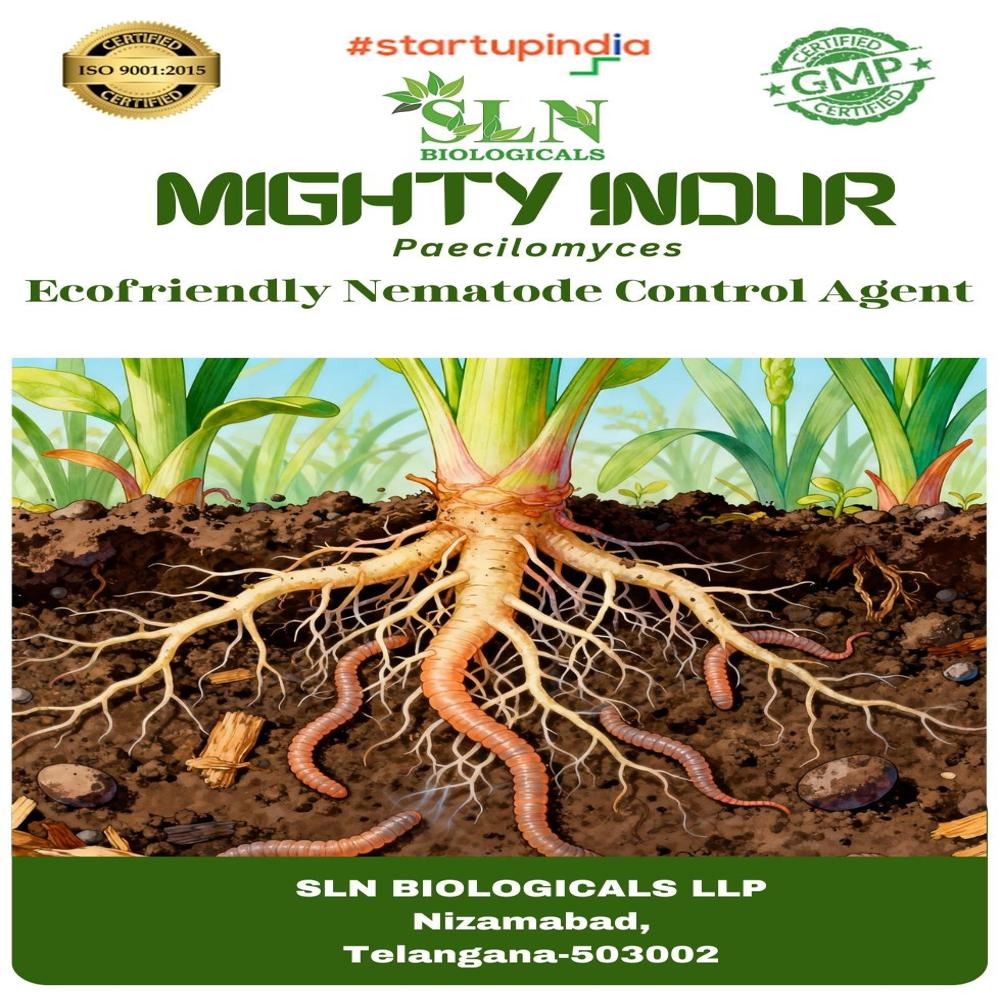 Paecilomyces Lilacinus Organo Based Eco Friendly Bio Pesticide