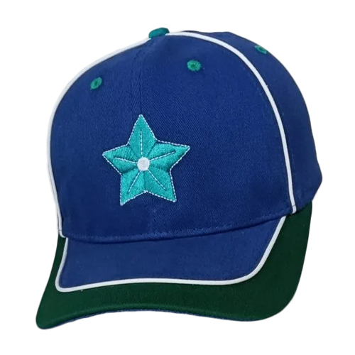 Promotional Custom Cap Age Group: All Age Group