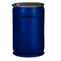 Azotobacter - Plant Growth Promoting Biofertilizer | Increased Yield, Nitrogen Fixation, Enhanced Seed Germination, Soil Health