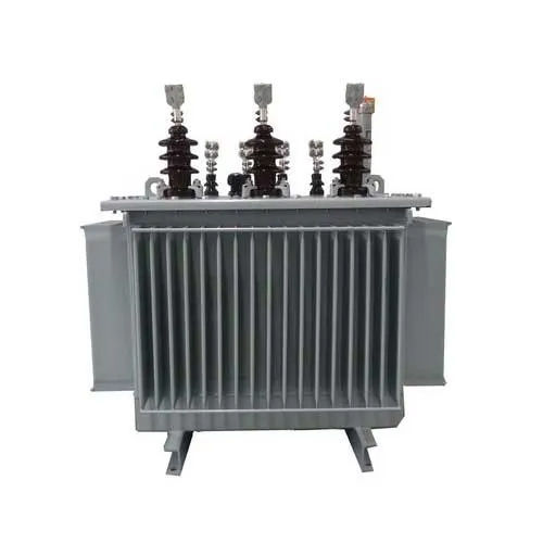 Stainless Steel Three Phase Oil Cooled Transformer