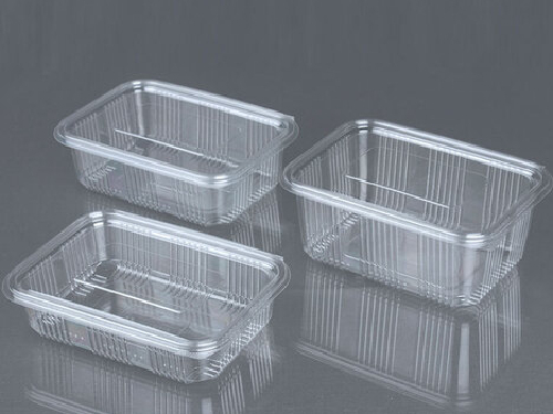 Transparent Hinged  Container