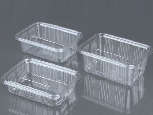 Transparent Rectangle Hinged  Container