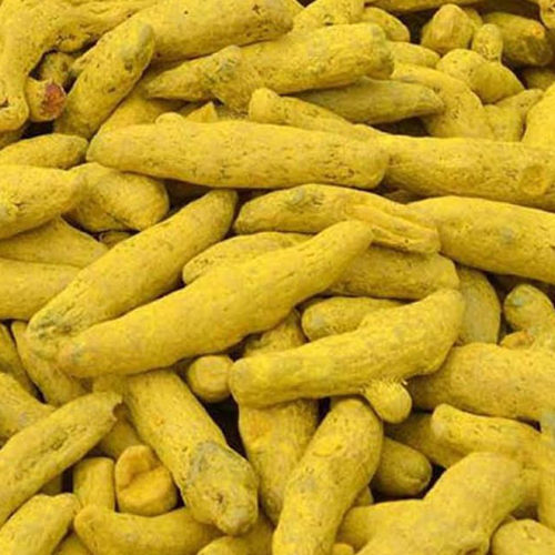 Yellow Turmeric Finger